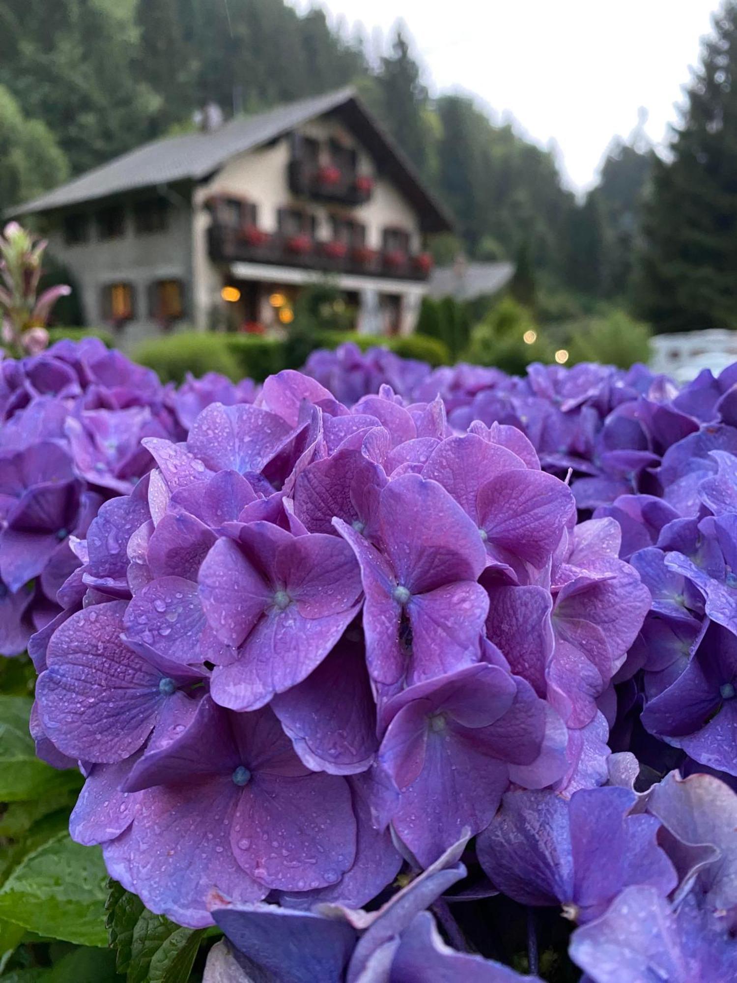 Chambres D'Hotes Des Cascades St-Nicolas Kruth ภายนอก รูปภาพ
