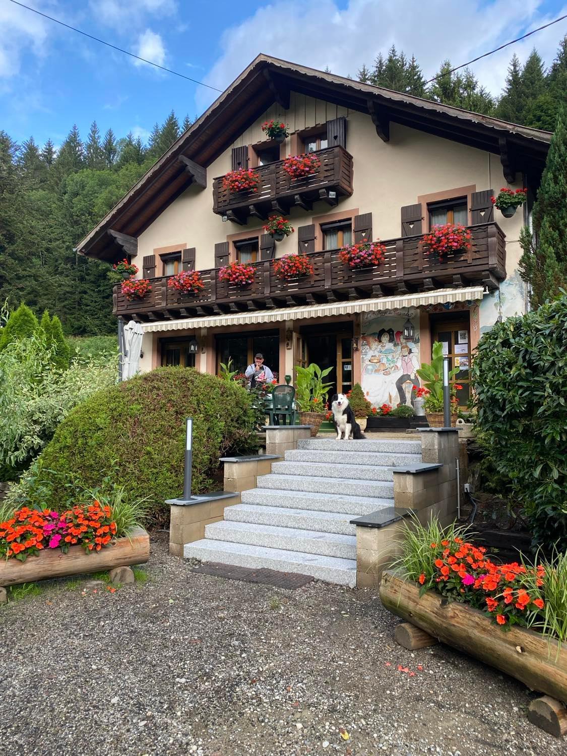 Chambres D'Hotes Des Cascades St-Nicolas Kruth ภายนอก รูปภาพ