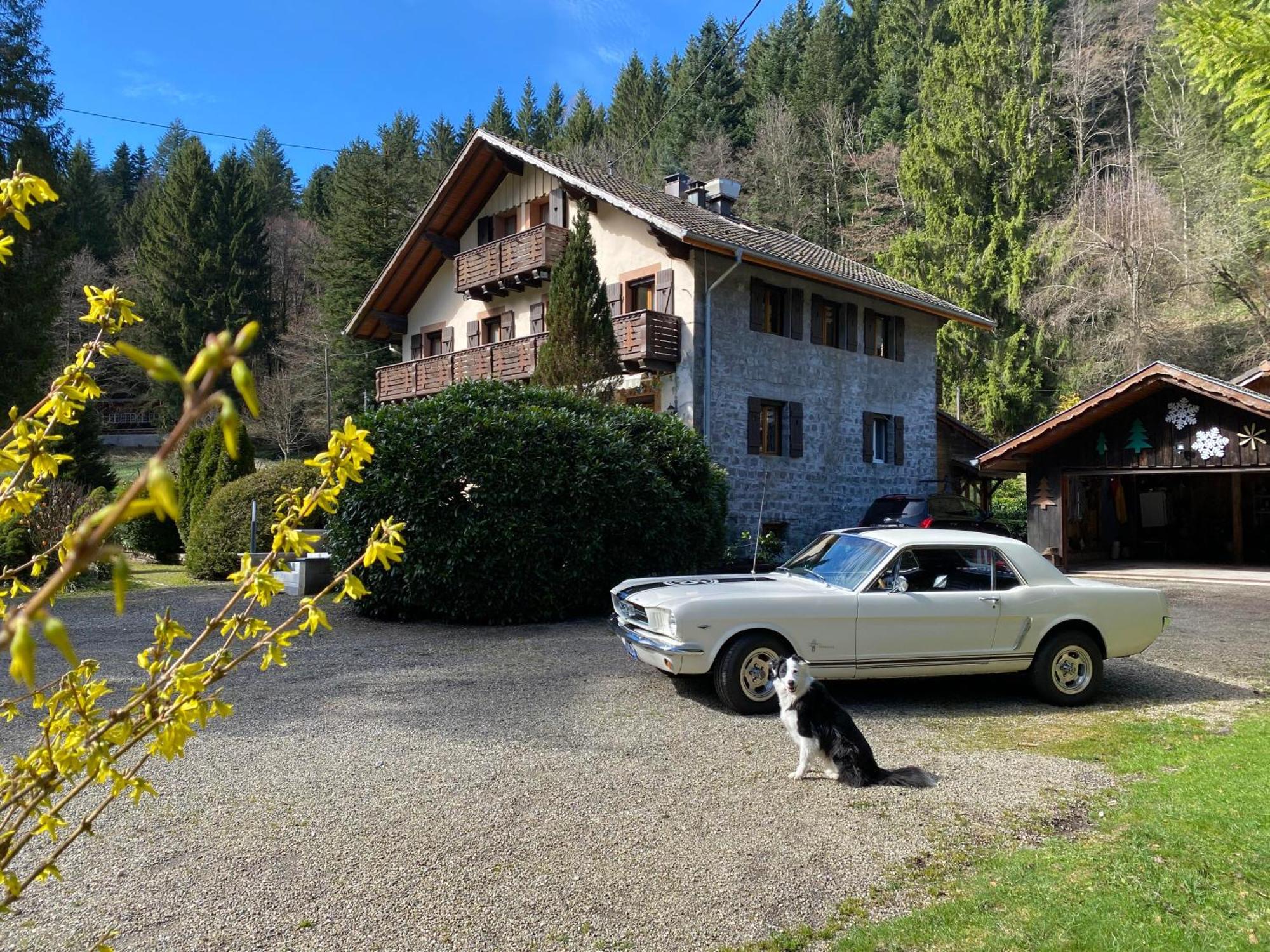 Chambres D'Hotes Des Cascades St-Nicolas Kruth ภายนอก รูปภาพ