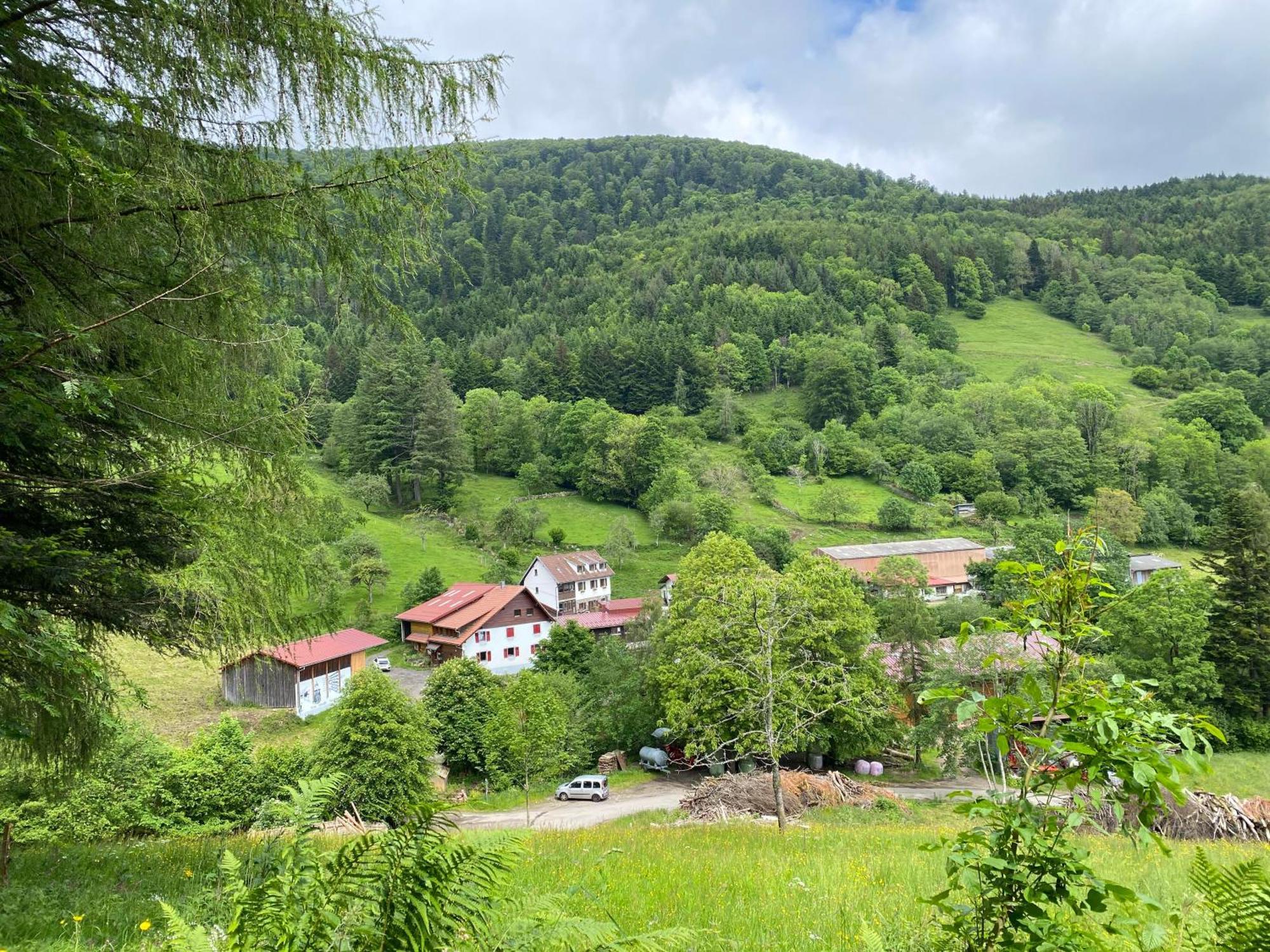 Chambres D'Hotes Des Cascades St-Nicolas Kruth ภายนอก รูปภาพ